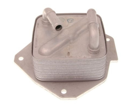 Oil cooler, engine oil