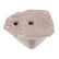 Oil cooler, engine oil, Thumbnail 2
