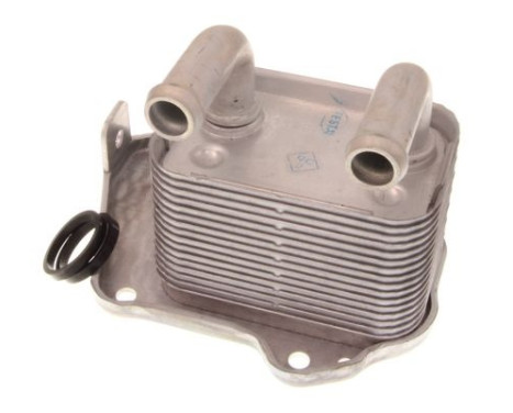 Oil cooler, engine oil