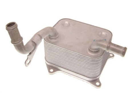 Oil cooler, engine oil