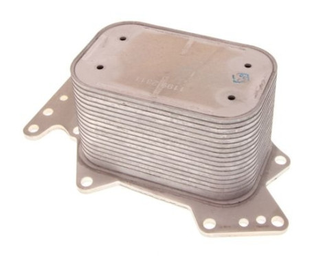 Oil cooler, engine oil