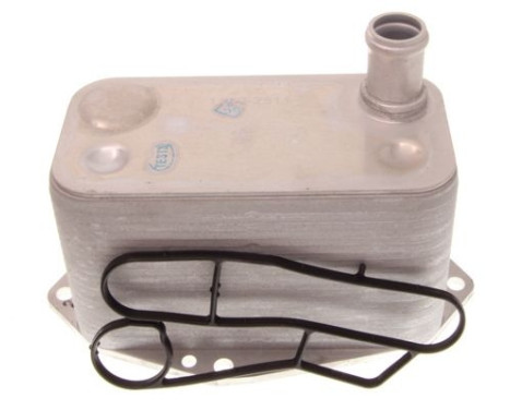 Oil cooler, engine oil