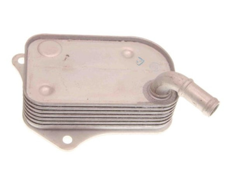 Oil cooler, engine oil