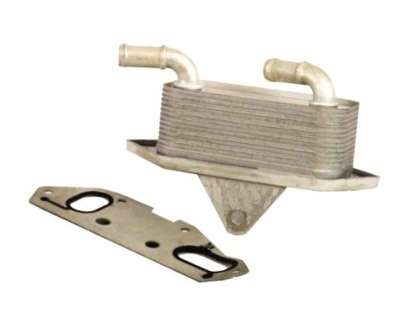 Oil cooler, engine oil