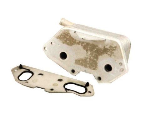 Oil cooler, engine oil, Image 2