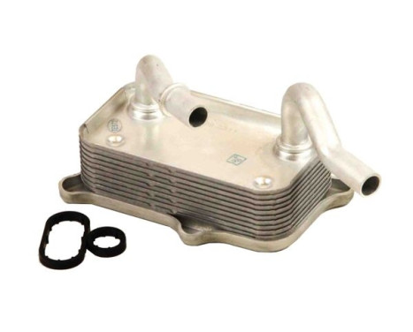 Oil cooler, engine oil