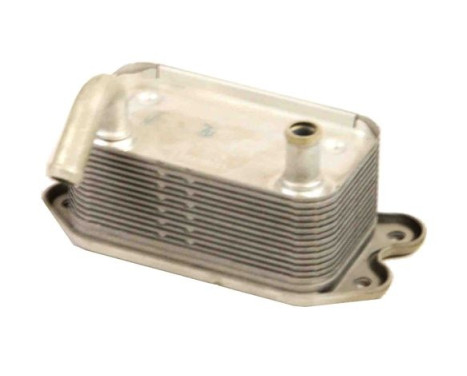 Oil cooler, engine oil