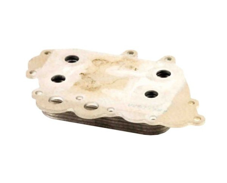 Oil cooler, engine oil