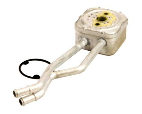 Oil cooler, engine oil