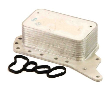 Oil cooler, engine oil
