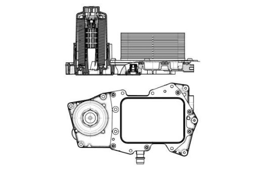 Oil cooler, engine oil