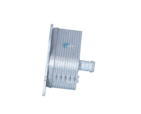 Oil Cooler, engine oil, Image 4