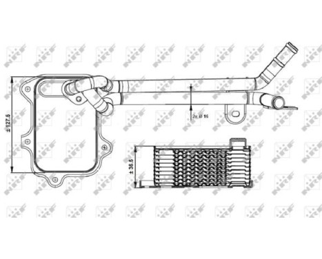 Oil Cooler, engine oil, Image 5