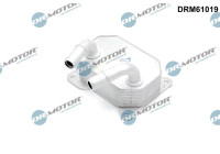 Oil cooler, engine oil