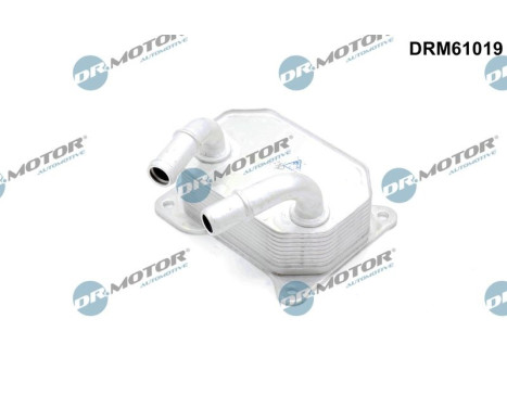 Oil cooler, engine oil