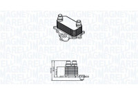 Oil cooler, engine oil