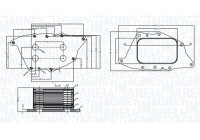 Oil cooler, engine oil