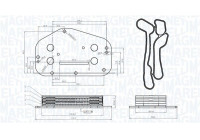 Oil cooler, engine oil