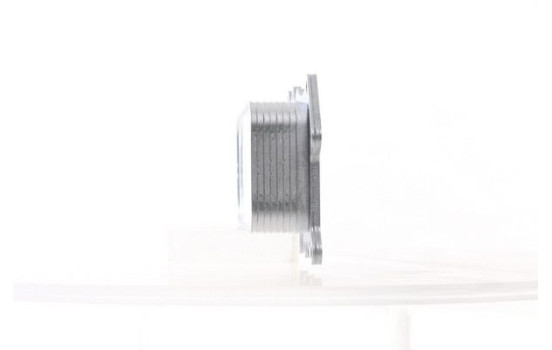 Oil cooler, engine oil, Image 3