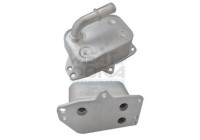 Oil cooler, engine oil
