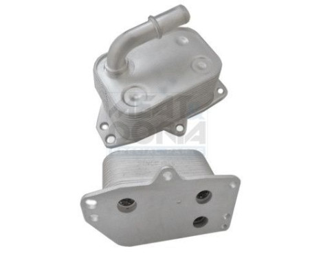 Oil cooler, engine oil