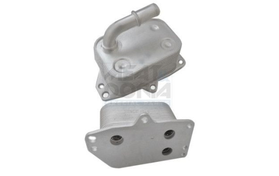 Oil cooler, engine oil
