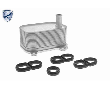 Oil cooler, engine oil