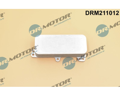 Oil cooler, engine oil