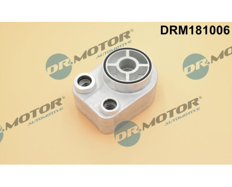 Oil cooler, engine oil