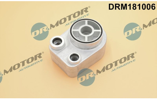 Oil cooler, engine oil
