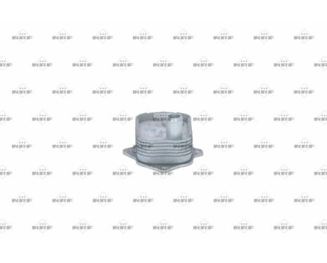 Oil Cooler, engine oil, Image 4