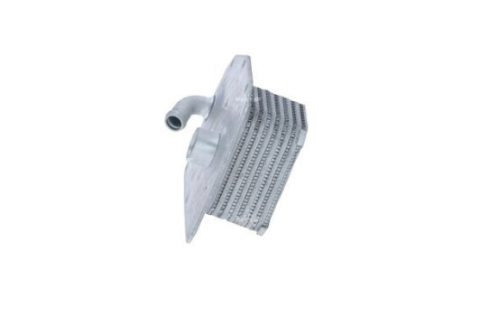 Oil Cooler, engine oil, Image 2