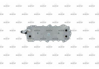 Oil Cooler, engine oil