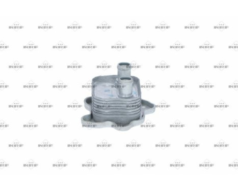 Oil Cooler, engine oil, Image 2