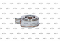 Oil Cooler, engine oil