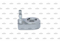 Oil Cooler, engine oil