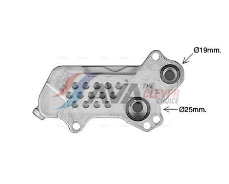 Oil Cooler, engine oil