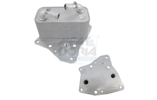 Oil cooler, engine oil