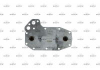 Oil cooler, engine oil