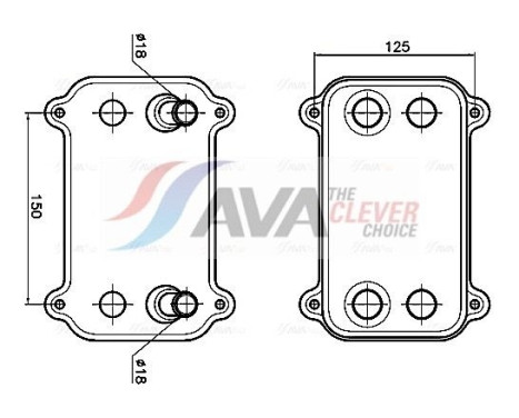 Oil cooler, engine oil