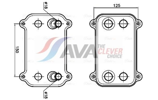 Oil cooler, engine oil