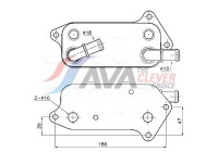 Oil cooler, engine oil