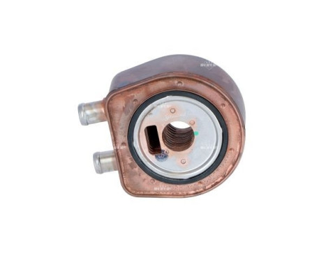 Oil cooler, engine oil