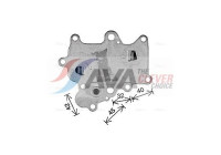 Oil Cooler, engine oil