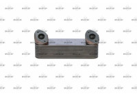 Oil Cooler, engine oil