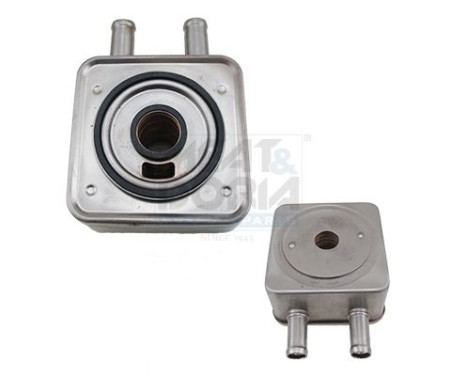 Oil cooler, engine oil