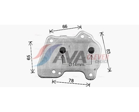 Oil Cooler, engine oil