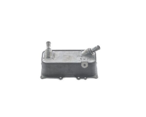 Oil cooler, engine oil