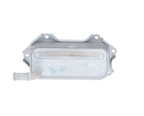 Oil Cooler, engine oil