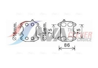 Oil Cooler, engine oil